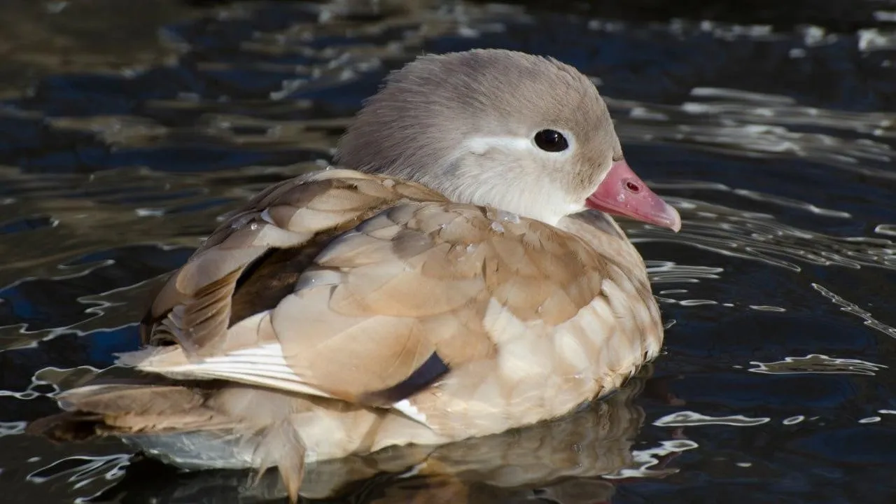 Фото: Анна Евсеева
