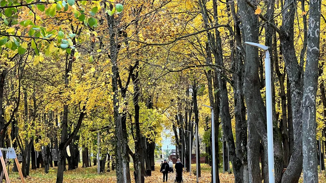 Фото: REGIONS/Елена Фурман