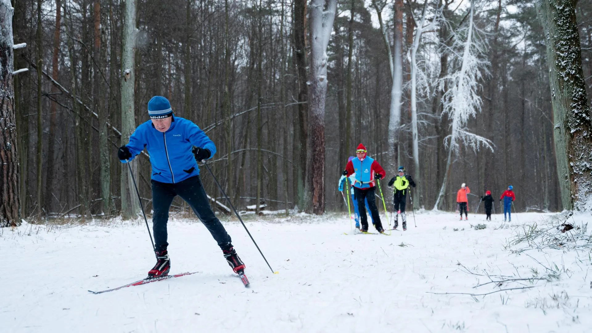 Антон Шаманин