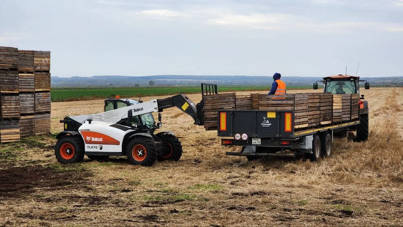 Евгений Рой