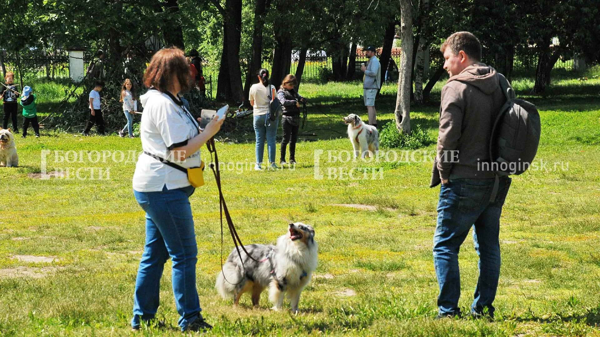 REGIONS/Александр Легкий