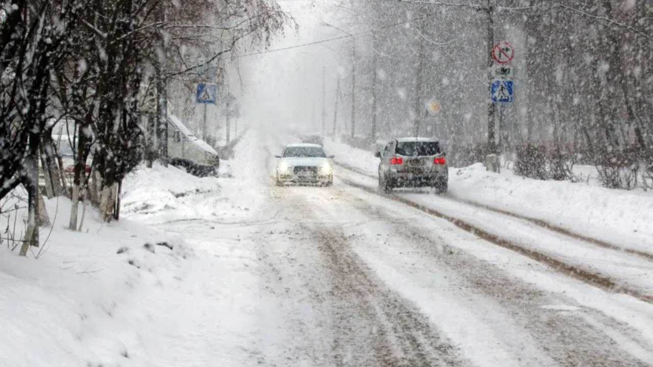 Фото: медиасток.рф