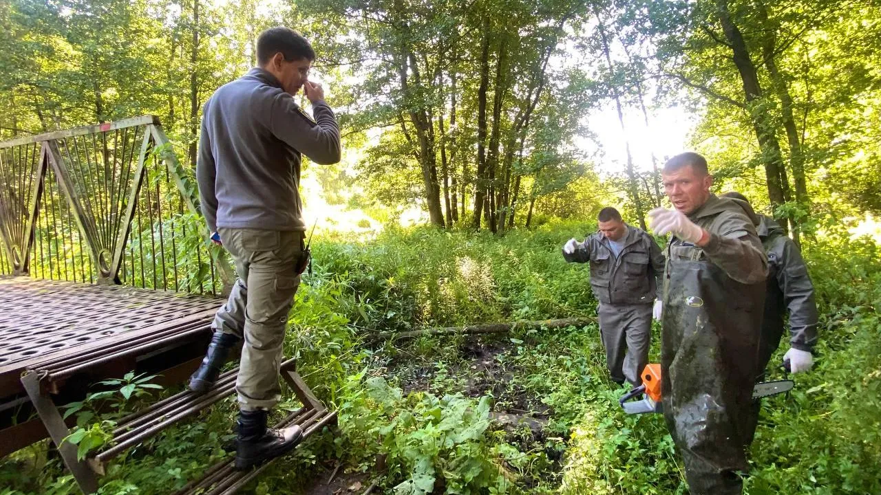 Фото: пресс-служба администрации Богородского городского округа