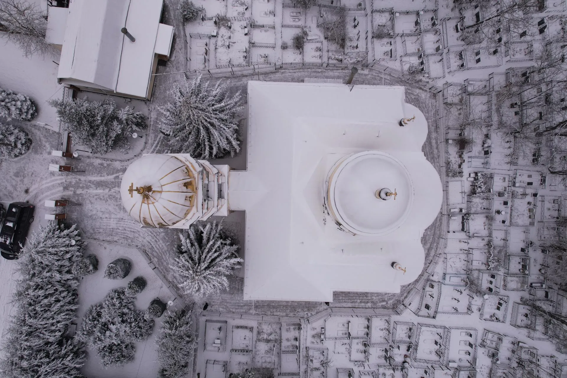 Дарья Московцева