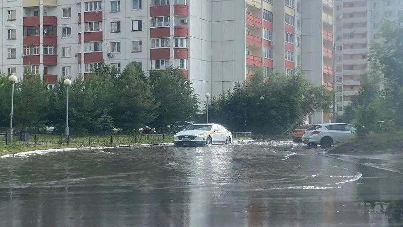 Потоп и сломанные деревья: жители Подмосковья засняли последствия непогоды