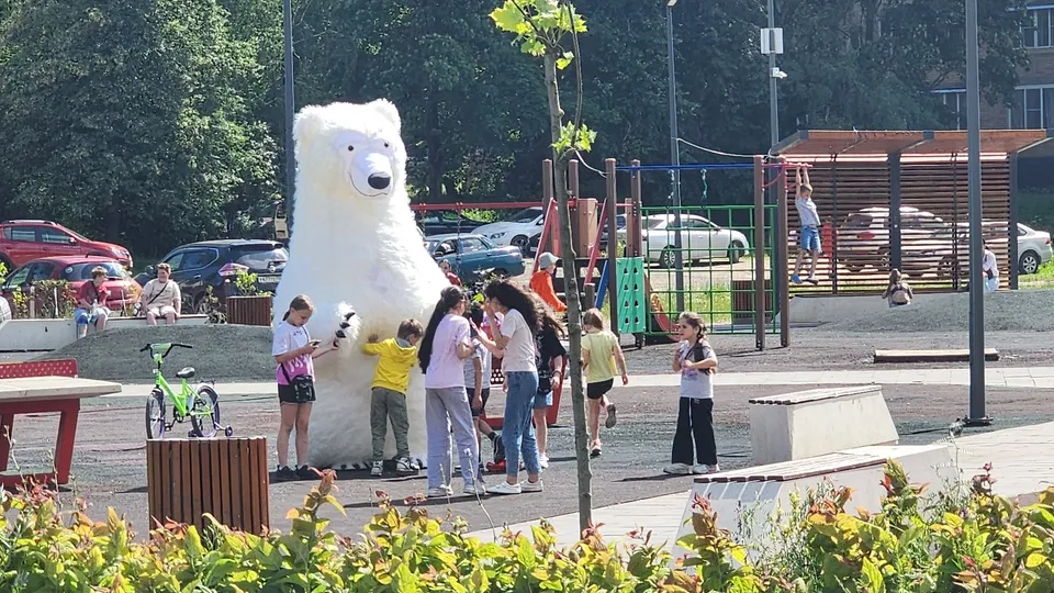 Фото: МедиаБанк Подмосковья/Екатерина Мелкозерова