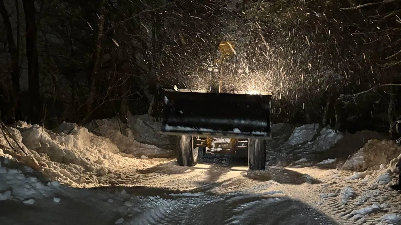 МедиаБанк Подмосковья/Екатерина Морозова