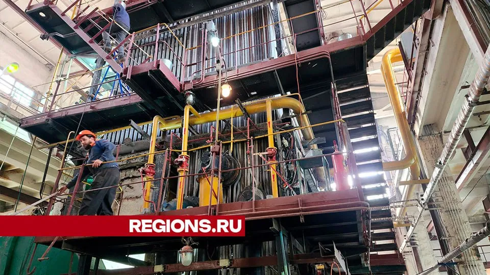 Фото: Светлана Плотникова