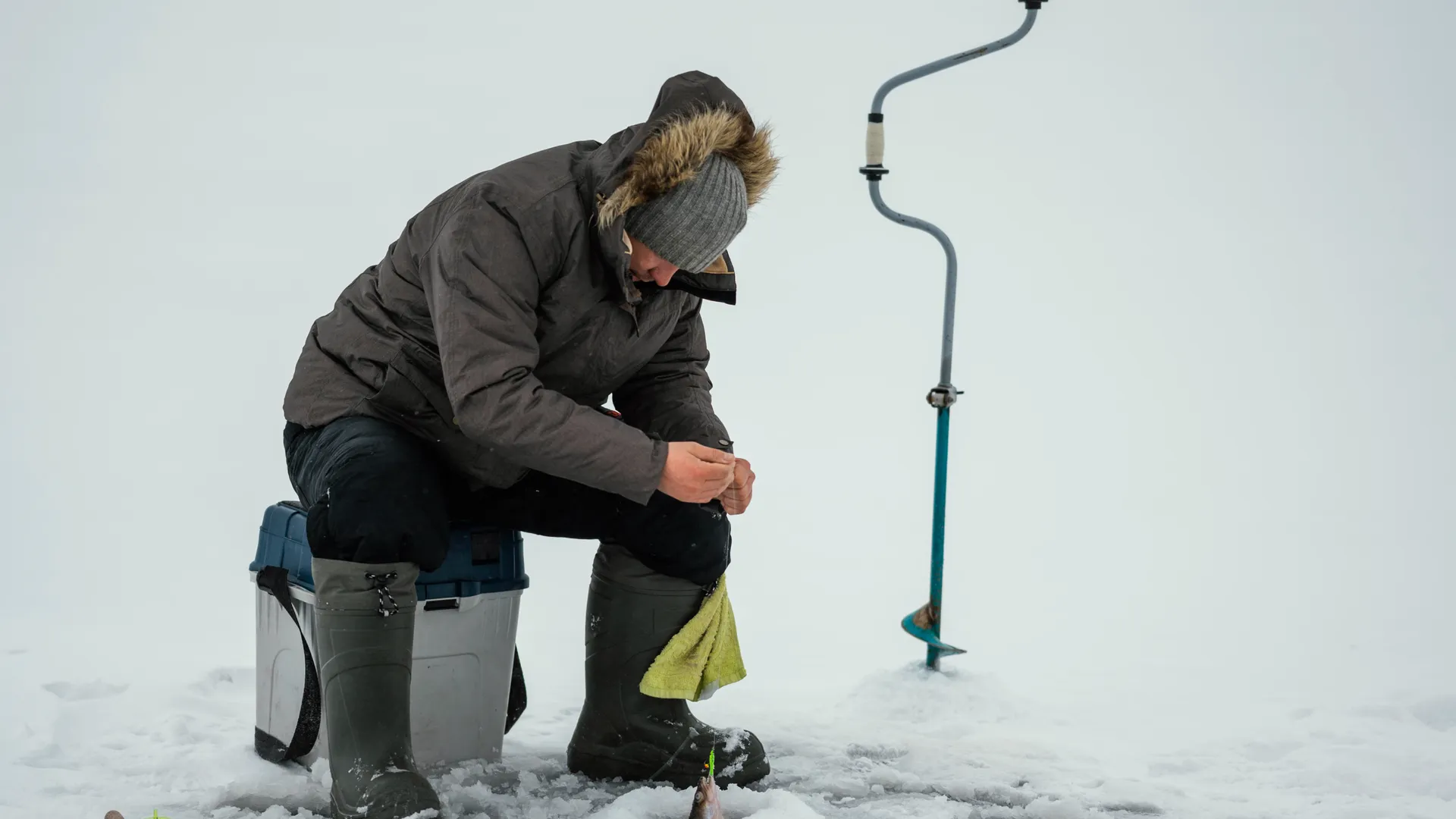 Фото: freepik.com