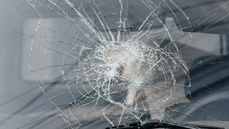 Фото: istockphoto.com/Anton Pentegov