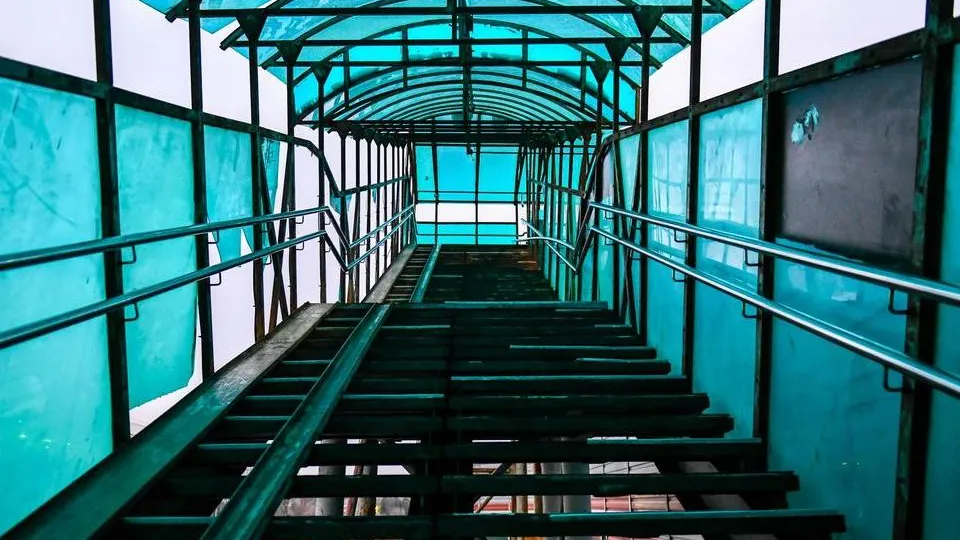 Фото: пресс-служба Администрации городского округа Химки