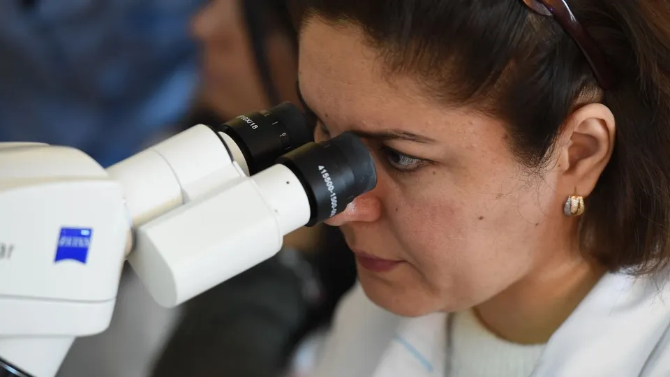 Фото: медиасток.рф