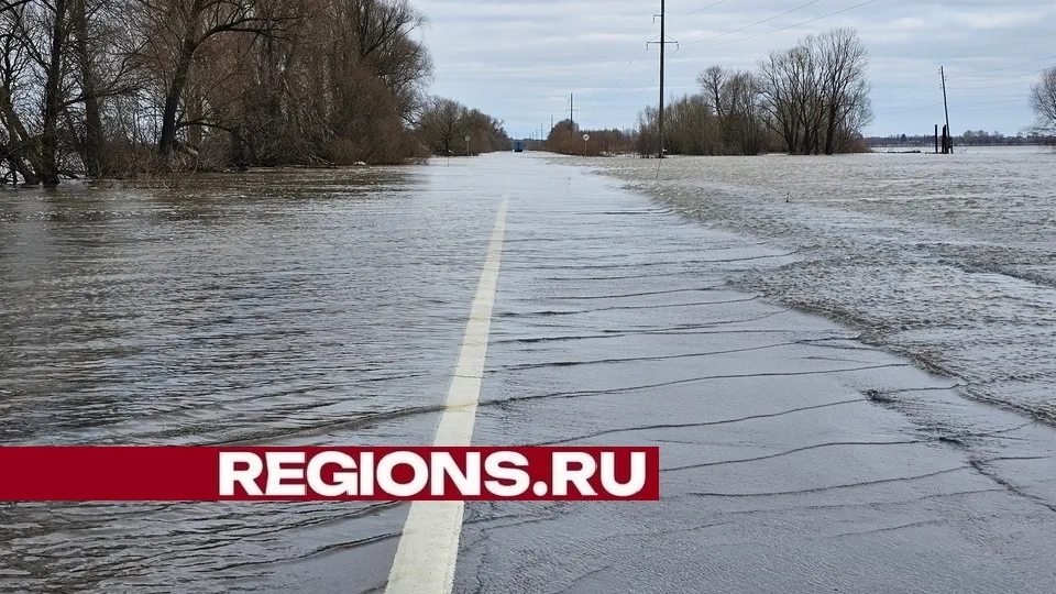 Фото: Александр Дрожжин