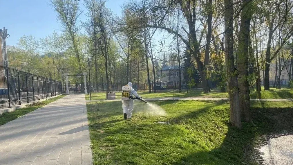 Фото: Министерство благоустройства Московской области