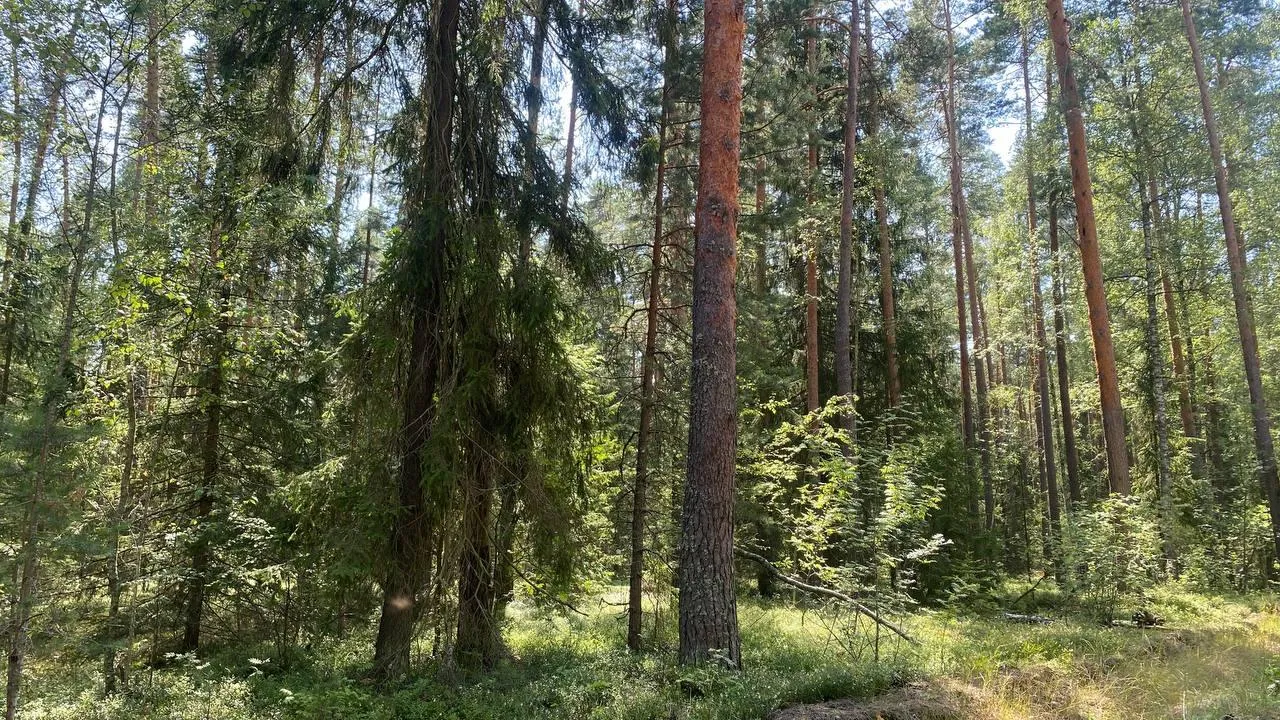 Фото: Оксана Бирюкова