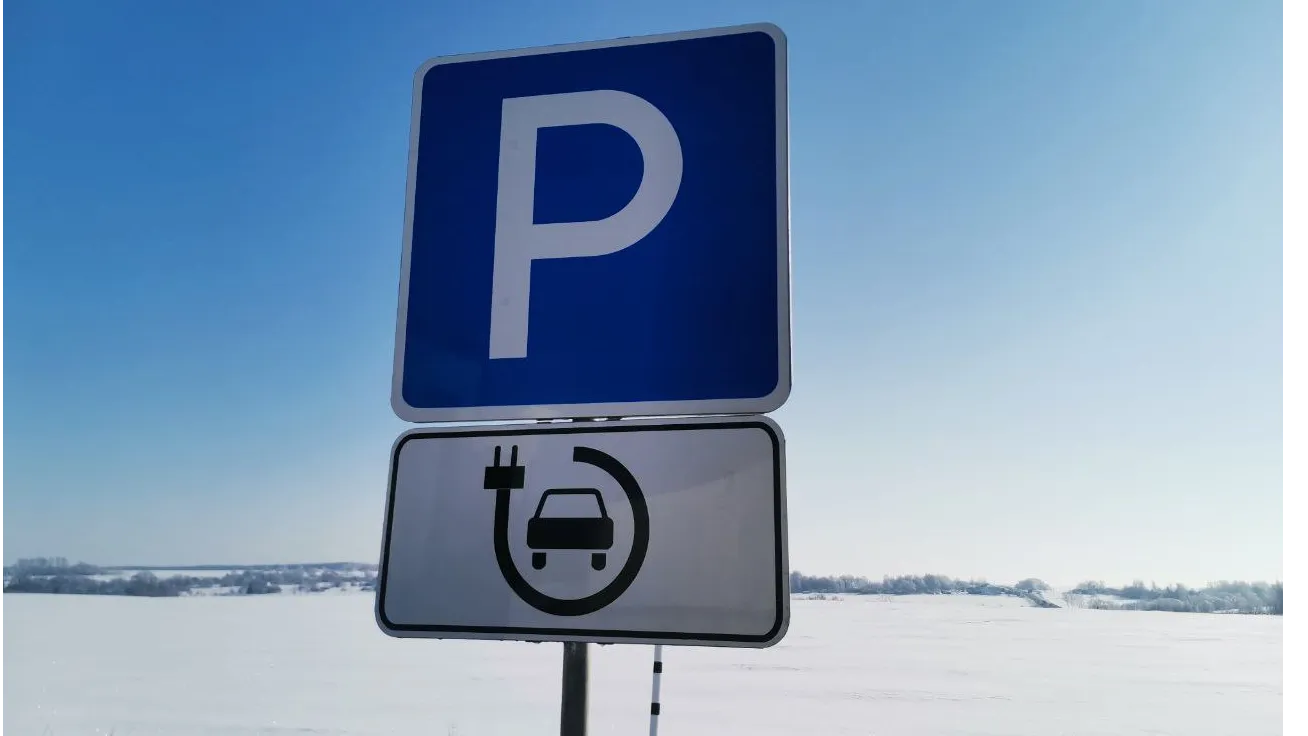 Фото: Дарья Кургузова