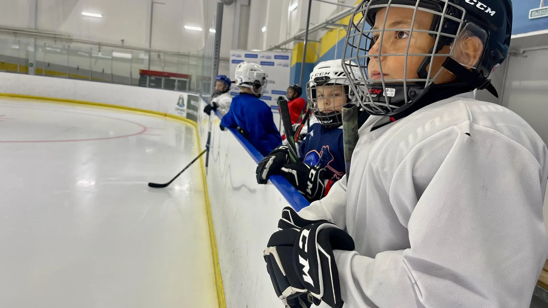 Анна Тюрюмина