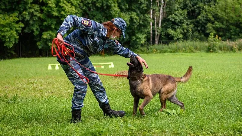 Урок пет-терапии провели для людей с ограниченными возможностями здоровья в Балашихе