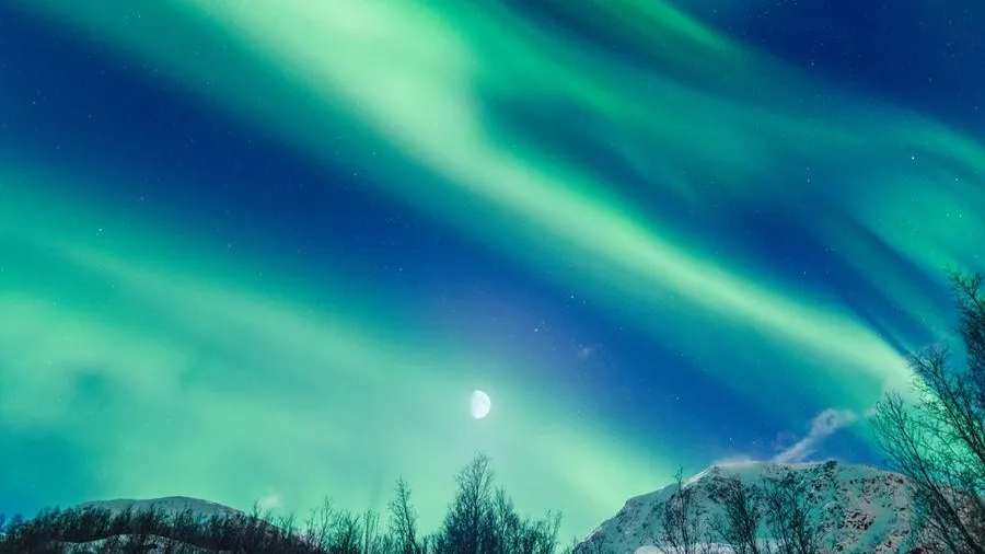 медиасток.рф