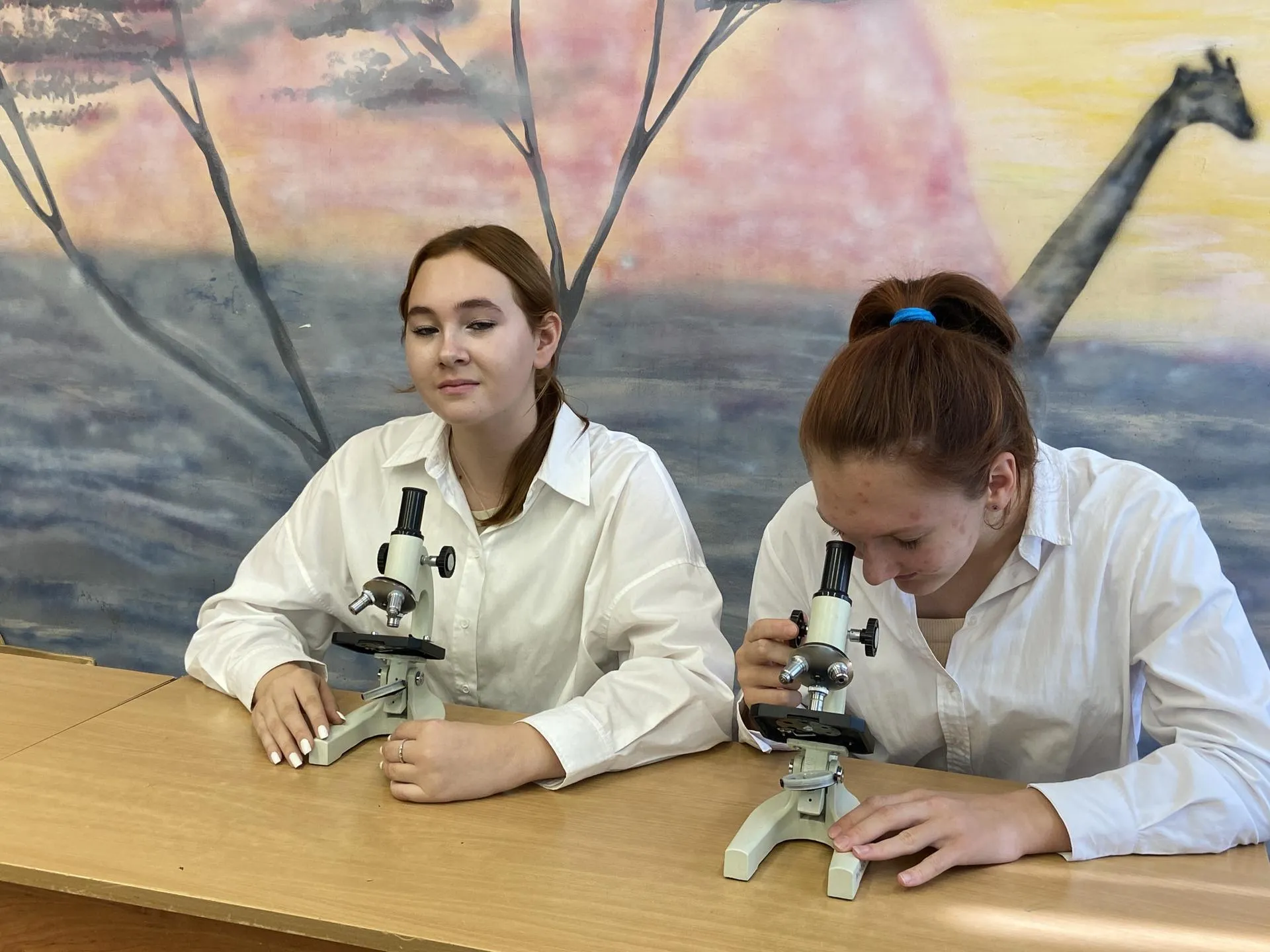 Фото: Светлана Борщева