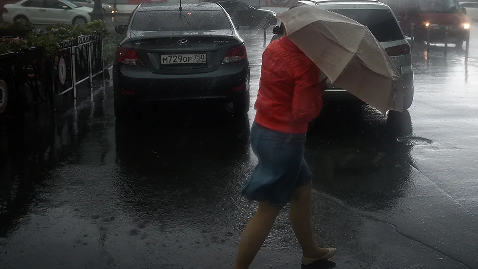 Фото: медиасток.рф