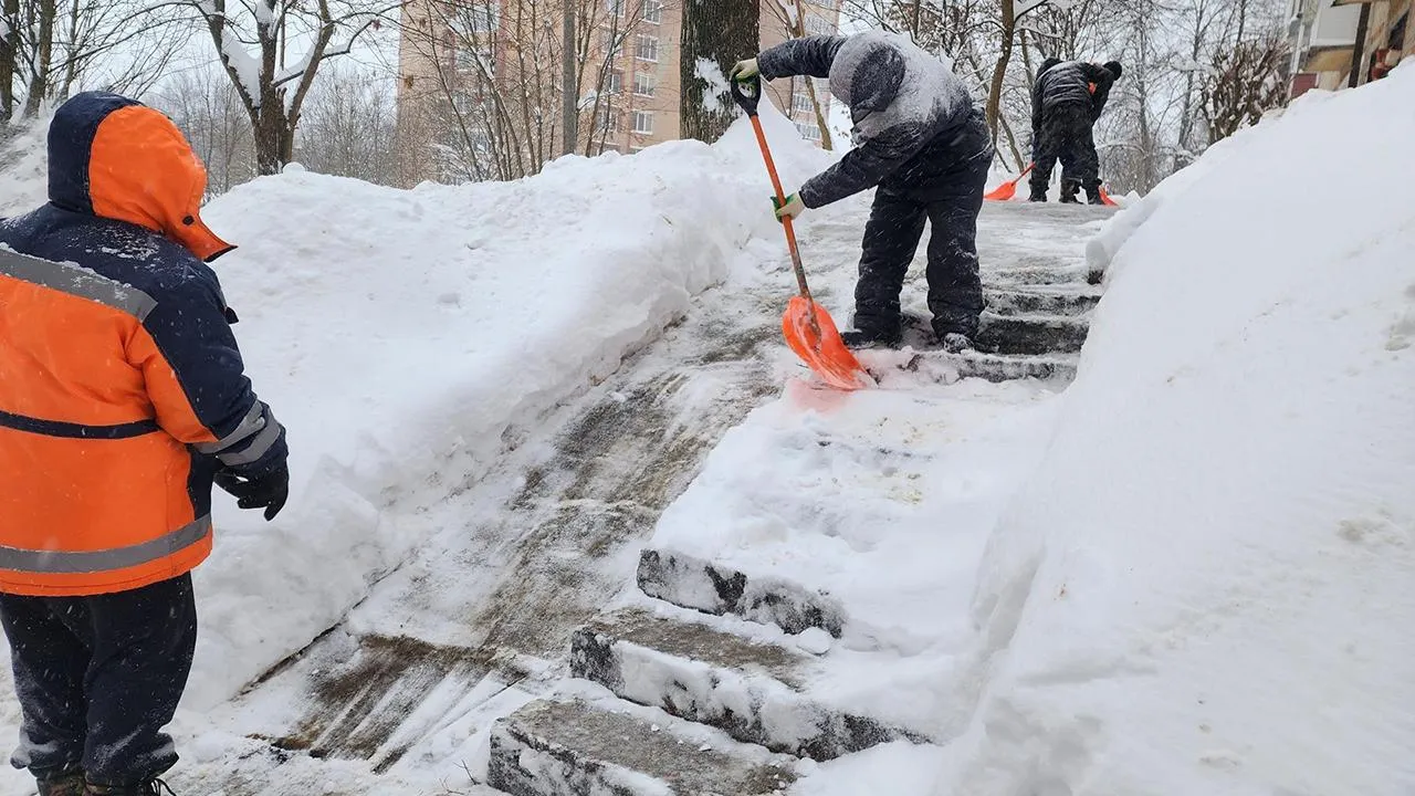 МедиаБанк Подмосковья/Екатерина Мелкозерова