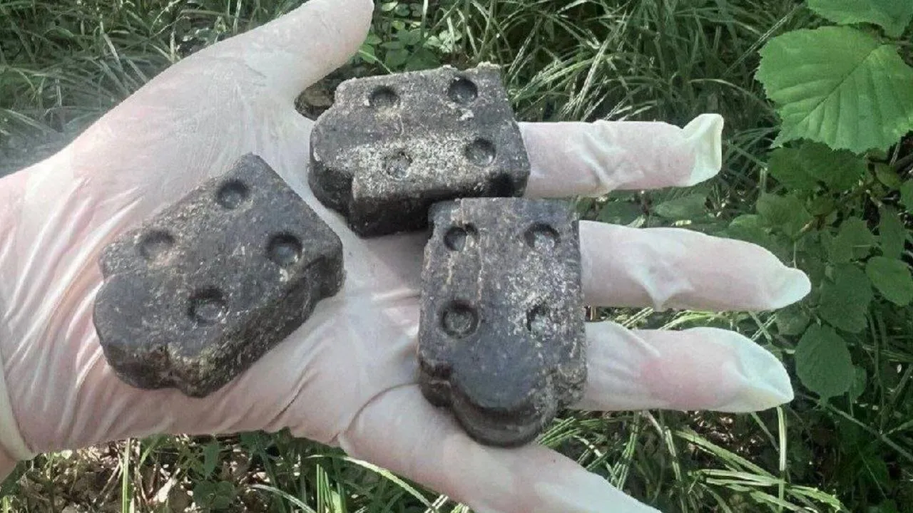 Фото: пресс-служба Администрации г.о. Ленинского