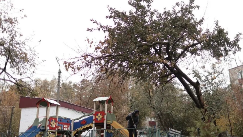 Фото: Telegram/Собакин Official