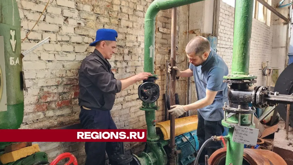 Фото: Елена Лабзина