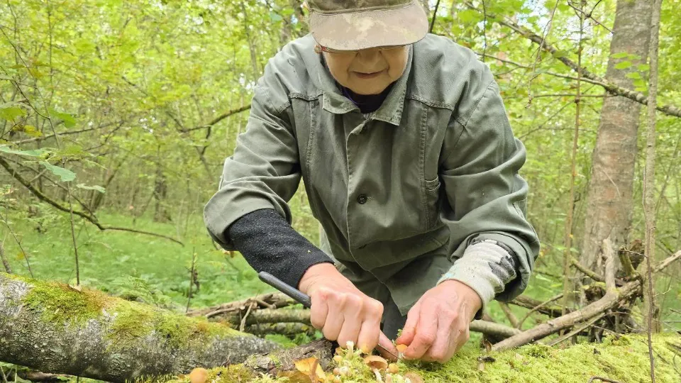 Фото: REGIONS/Яна Шаливская