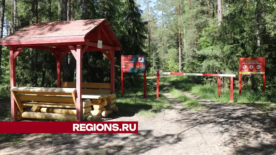 Фото: REGIONS/Василий Тремасов