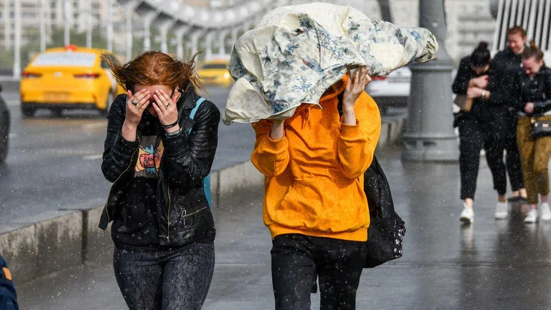 Вильфанд рассказал москвичам о ветряных и дождливых погодных сложностях на выходных