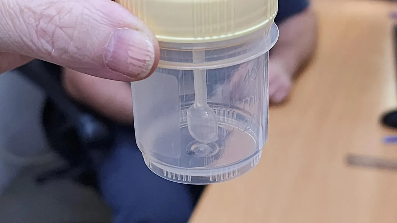 МедиаБанкПодмосковья/Валентина Максимова