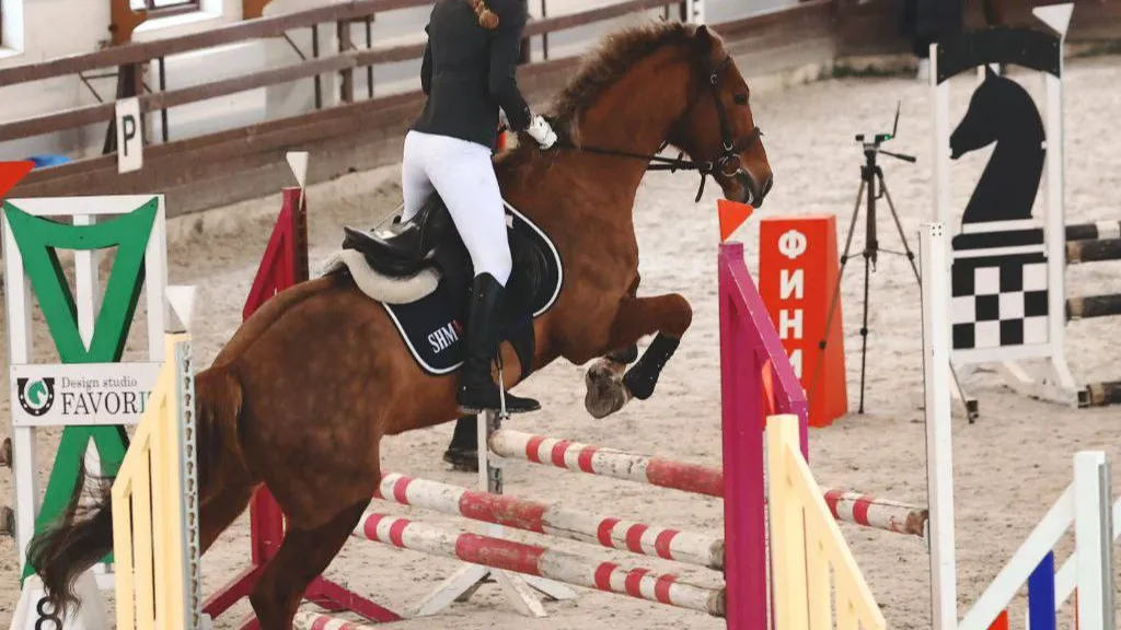 Фото: пресс-служба администрации г.о. Подольск