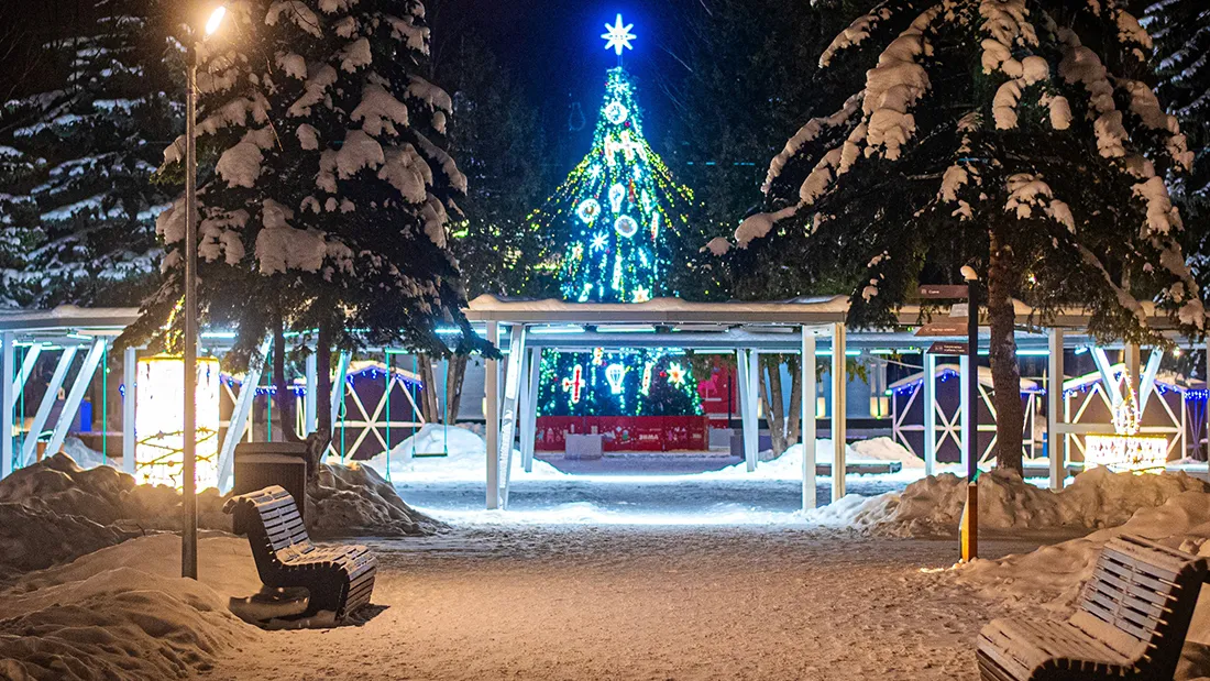 Фото: Андрей Кирашев