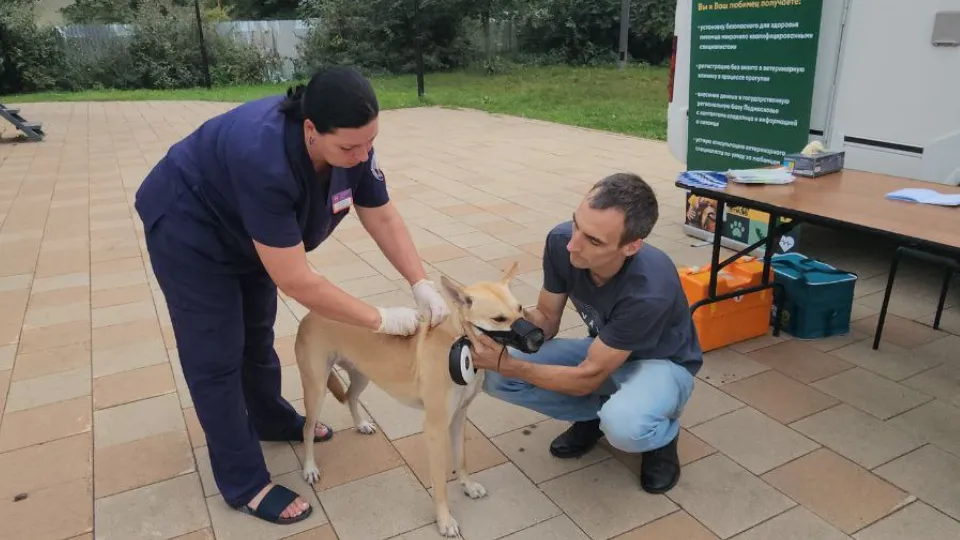 Фото: МедиаБанк Подмосковья/Наталья Лымарь