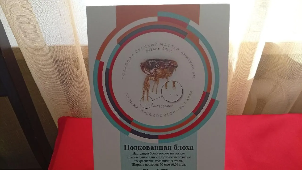 Дмитрий Роман