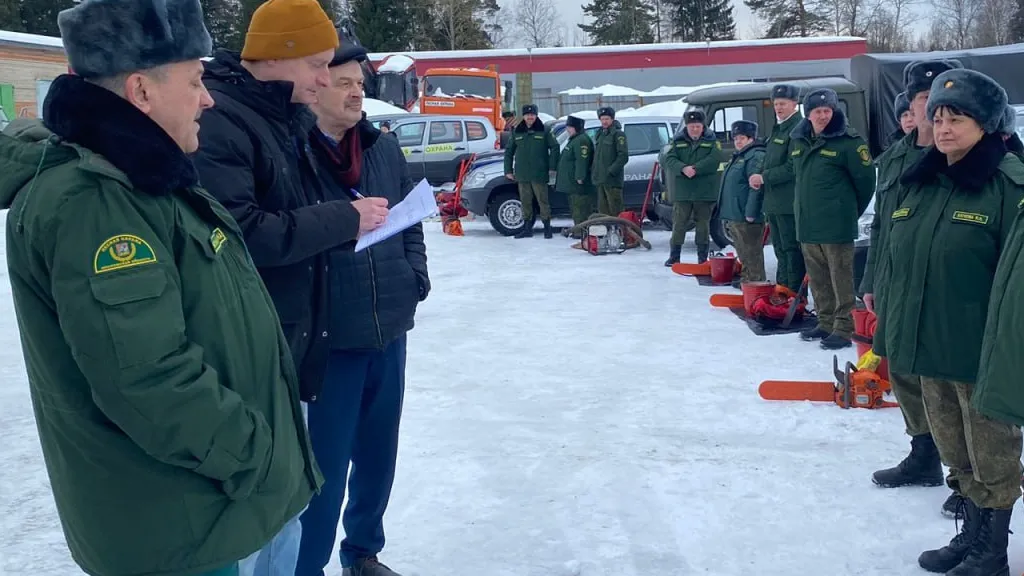 Фото: пресс-служба Комитета лесного хозяйства Московской области