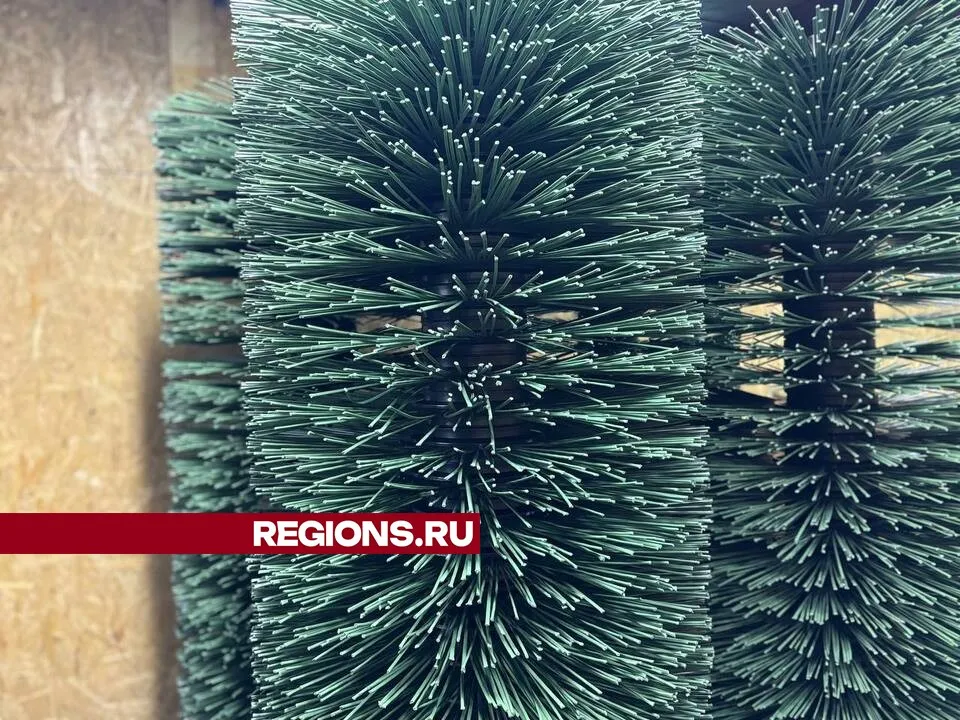 Фото: Светлана Плотникова