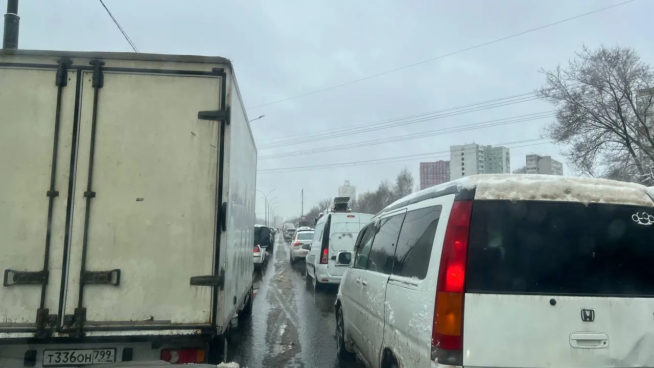 Фото: Елена Фурман