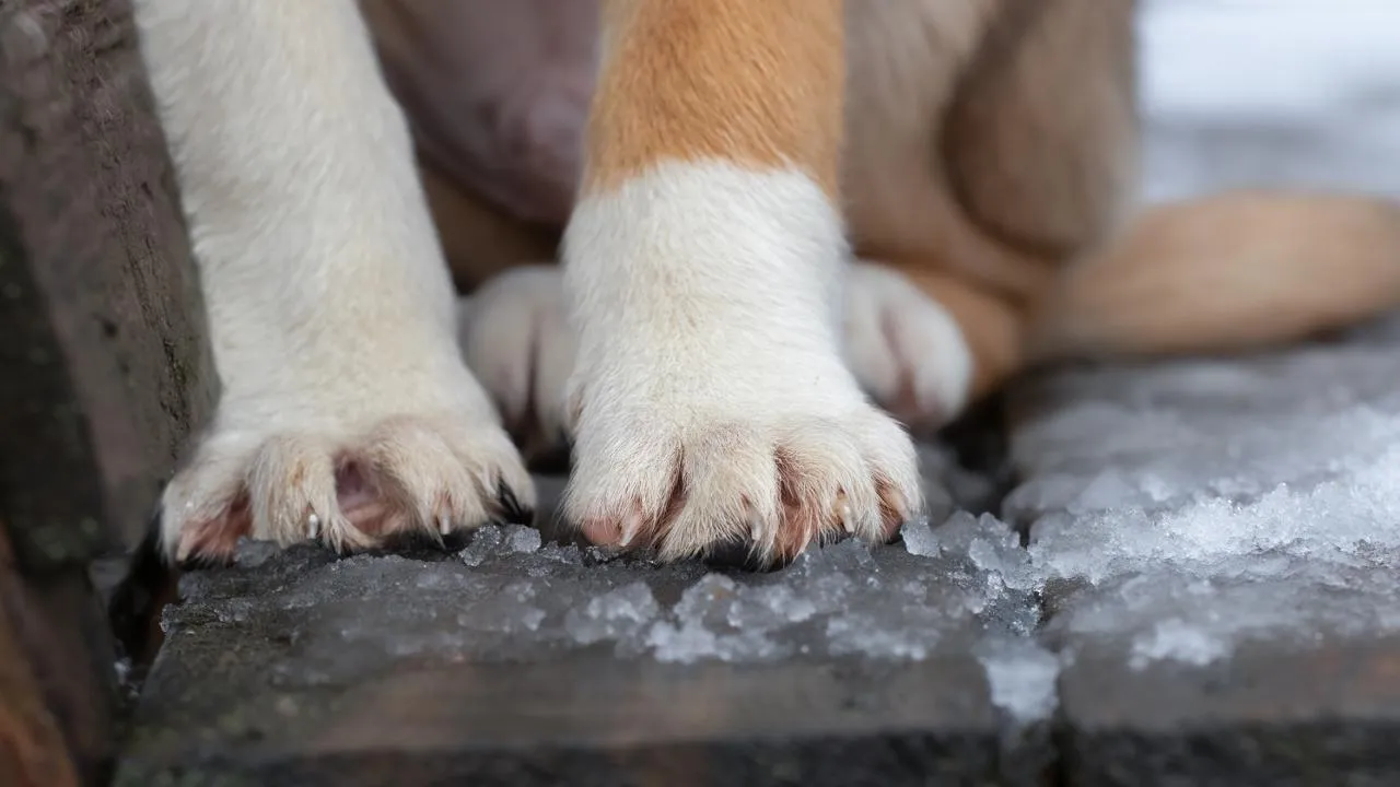 istockphoto.com/Yuliya Movchan