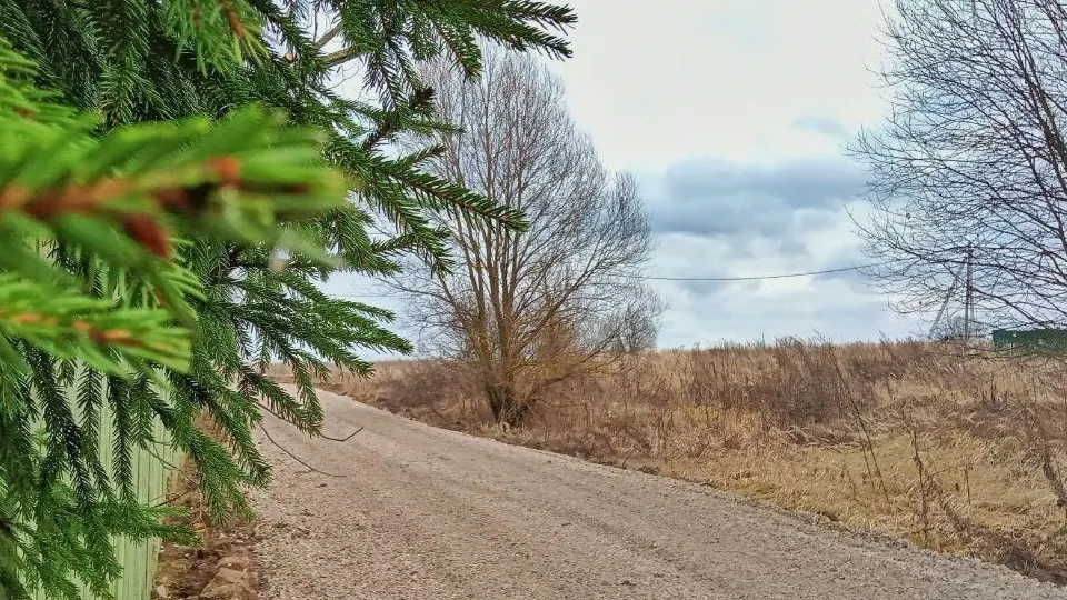 Фото: пресс-служба Администрации г.о. Чехов