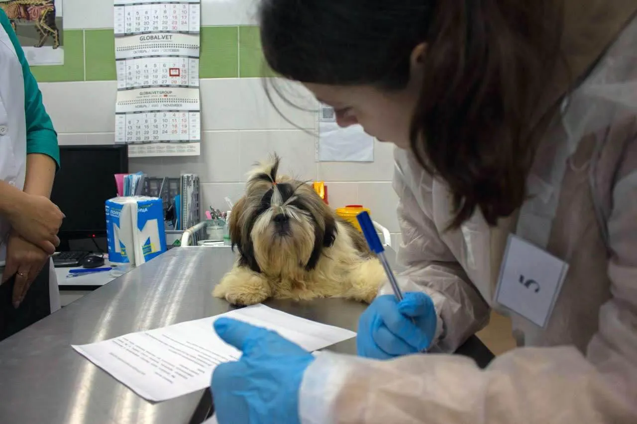 Фото: Министерство информационных и социальных коммуникаций