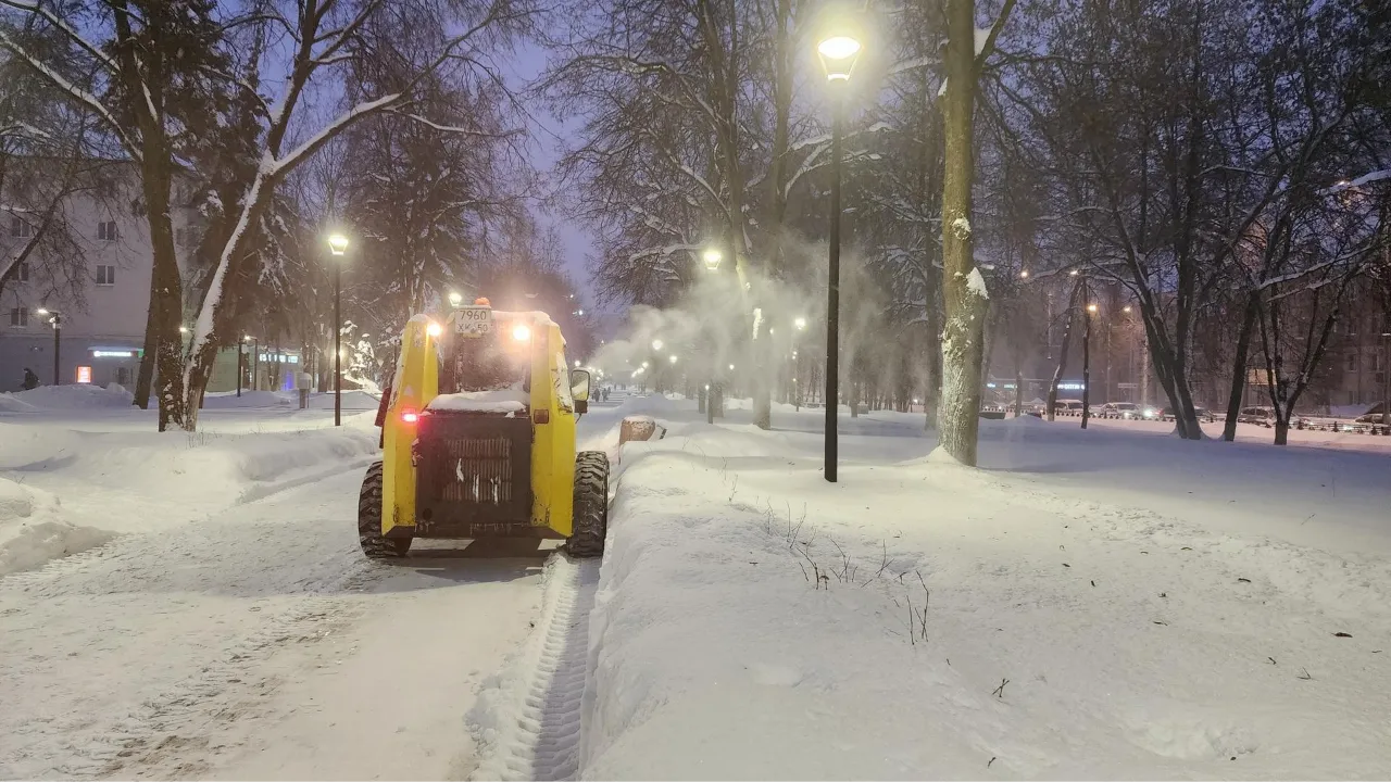 МедиаБанк Подмосковья/Анастасия Сараева