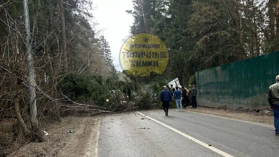 Фото: t.me/tipkhimki