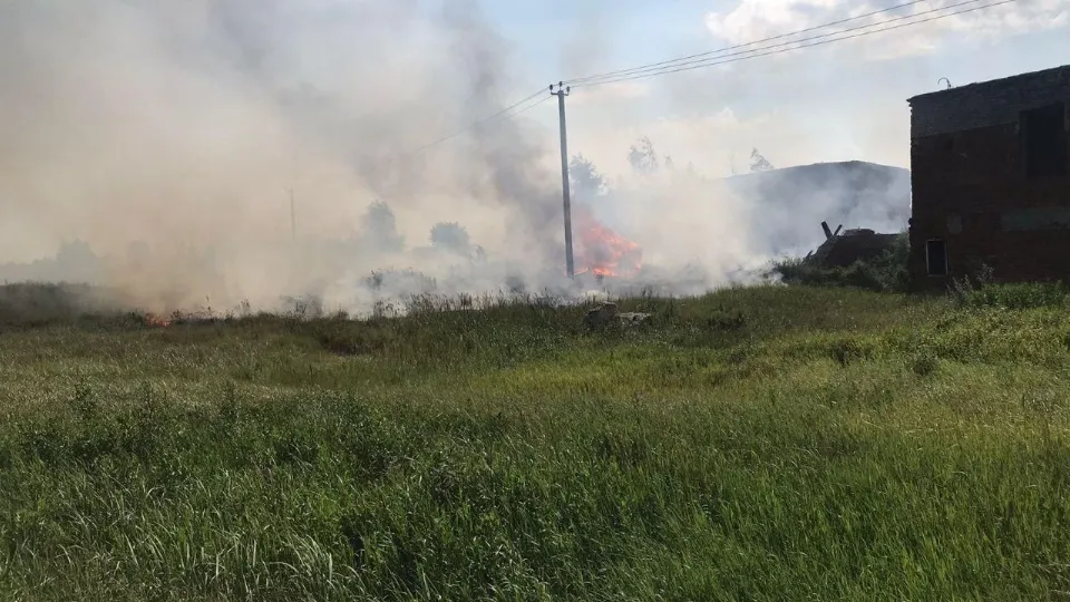 Фото: Комитет лесного хозяйства Московской области