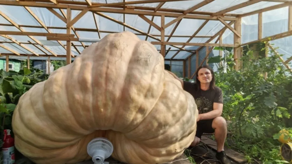 Фото: из личного архива Александра Чусова