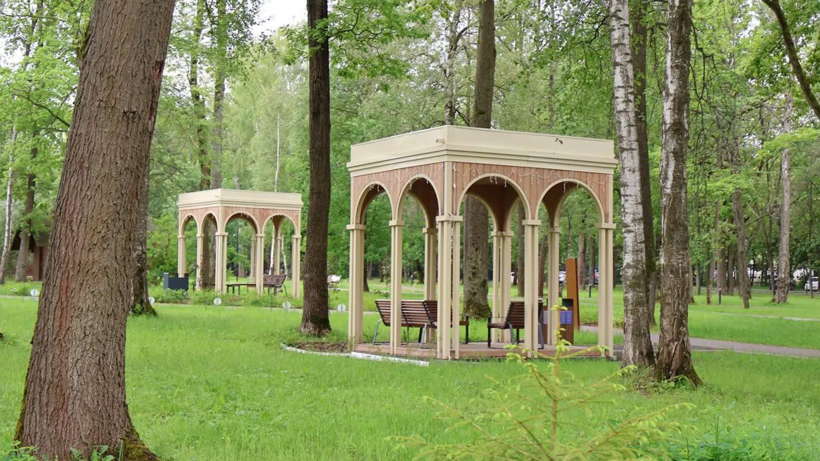 Фото: Пресс-служба администрации г.о. Ступино