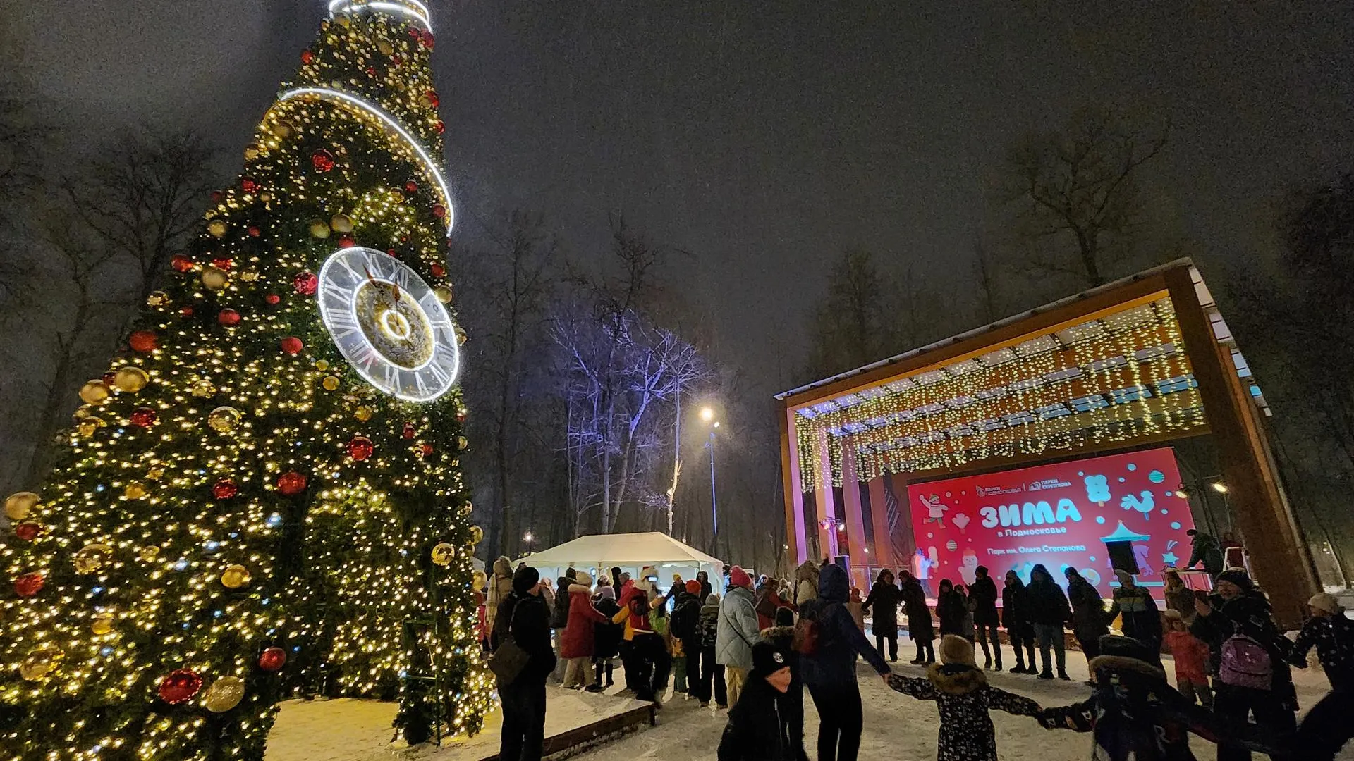 Александр Стёпушкин
