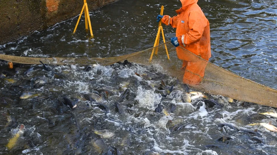 Фото: РИА Новости/Sputnik/Виктор Толочко